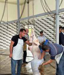 Beyləqanda müasir ət kəsim məntəqəsinin açılışı olub