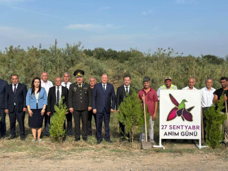27 Sentyabr – Anım Gününə həsr olunmuş ağacəkmə aksiyası keçirilmişdir