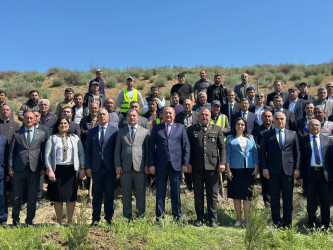 Beyləqanda “Şəhərsalma və Memarlıq İli” çərçivəsində ağacəkmə aksiyası keçirilib