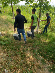 Rayon ərazisində iməcilik işləri davam etdirilir