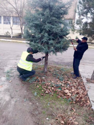 Beyləqan rayonunda abadlıq işləri mütəmadi olaraq davam etdirilir