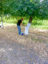 Rayon ərazisində iməcilik işləri davam etdirilir