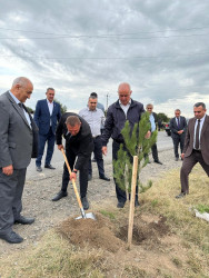 27 sentyabr - Anım Günü münasibəti ilə Beyləqan rayonunda ağacəkmə aksiyası keçirilmişdir.