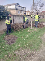 Daha bir neçə küçədə təmizlik və abadlıq işləri aparılmışdır.