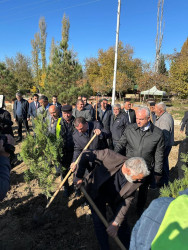 Zəfər Günü münasibətilə ağacəkmə aksiyası keçirilib