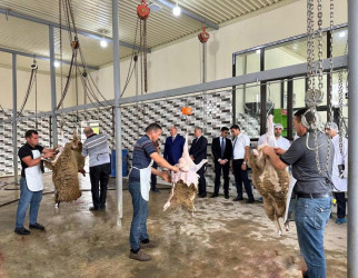 Beyləqanda müasir ət kəsim məntəqəsinin açılışı olub