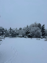 Beyləqan rayonu 2026-cı ilin ilk qarını qarşılayıb