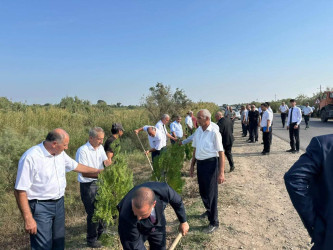 27 Sentyabr – Anım Gününə həsr olunmuş ağacəkmə aksiyası keçirilmişdir