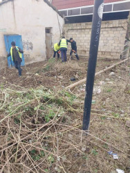 Beyləqan şəhərinin küçələrində təmizlik və abadlıq işləri aparılır