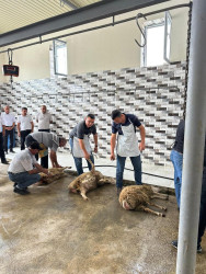 Beyləqanda müasir ət kəsim məntəqəsinin açılışı olub