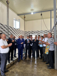 Beyləqanda müasir ət kəsim məntəqəsinin açılışı olub