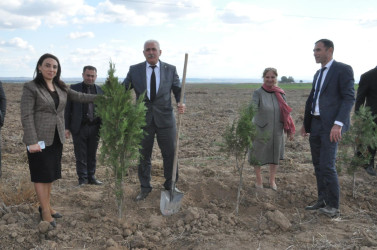 Beyləqan rayonunda “Yaşıl dünya naminə həmrəylik ili” çərçivəsində silsilə tədbirlər davam etdirilir.