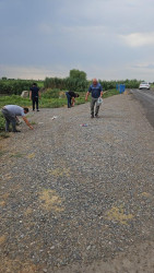 Beyləqanda ümumrayon iməcilik aksiyası təşkil olunub