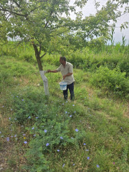 Rayon ərazisində iməcilik işləri davam etdirilir