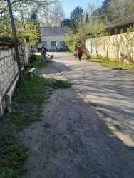 Beyləqanda abadlıq və təmizlik işləri davam edir