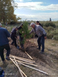 Beyləqanda keçirilən növbəti ağacəkmə aksiyasında şəhid ailə üzvləri və qazilər də fəal iştirak etdilər.