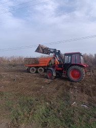 Beyləqanda “Yeni ilə təmiz mühitlə” devizi ilə ümumrayon iməcliyi keçirilib