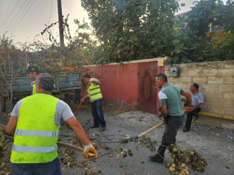 Beyləqan şəhərinin daha bir neçə küçəsində abadlıq işləri aparılıb.