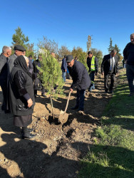 Zəfər Günü münasibətilə ağacəkmə aksiyası keçirilib