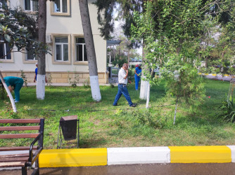 Beyləqan rayonunda “Yaşıl dünya naminə həmrəylik ili” çərçivəsində ümumrayon iməcliyi keçirilib.