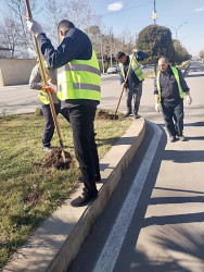 Beyləqanda əlverişli hava şəraiti ilə əlaqədar olaraq yaşıllaşdırma tədbirlərinə başlanılıb.
