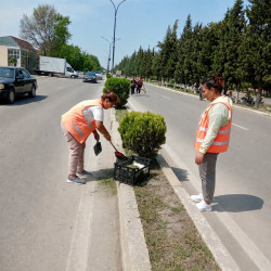Beyləqanda abadlıq və təmizlik işləri mütəmadi olaraq davam etdirilir