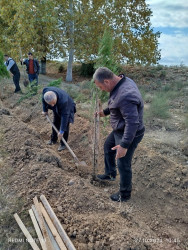 Beyləqanda keçirilən növbəti ağacəkmə aksiyasında şəhid ailə üzvləri və qazilər də fəal iştirak etdilər.