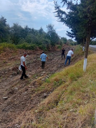 Beyləqanda ümumrayon iməcilik aksiyası təşkil olunub