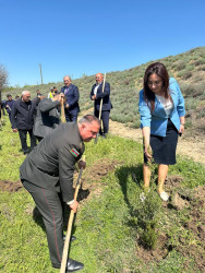 Beyləqanda “Şəhərsalma və Memarlıq İli” çərçivəsində ağacəkmə aksiyası keçirilib