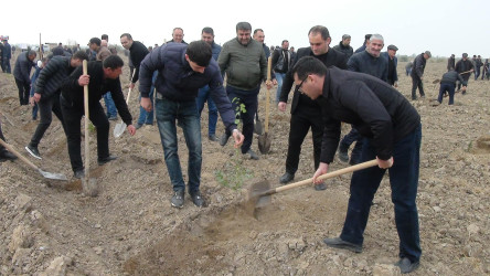 Beyləqan rayonunda “Gələcəyə nəfəs ol” devizi altında kütləvi ağacəkmə aksiyası keçirildi.