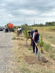 27 sentyabr - Anım Günü münasibəti ilə Beyləqan rayonunda ağacəkmə aksiyası keçirilmişdir.