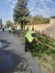 Şəhid Şamil Həsənov küçəsində təmizlik və abadlıq işləri aparılıb