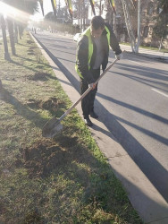 Beyləqanda əlverişli hava şəraiti ilə əlaqədar olaraq yaşıllaşdırma tədbirlərinə başlanılıb.