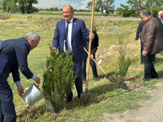 “Şəhərsalma və Memarlıq İli” çərçivəsində Beyləqan rayonu ərazisində ağacəkmə aksiyaları davam etdirilir.