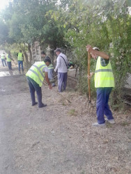 Şəhid Şamil Həsənov küçəsində təmizlik və abadlıq işləri aparılıb