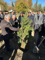 Zəfər Günü münasibətilə ağacəkmə aksiyası keçirilib