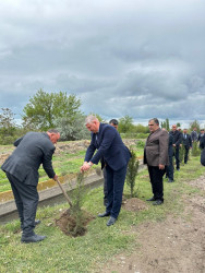 Beyləqan rayonunda növbəti ağacəkmə aksiyası keçirilib