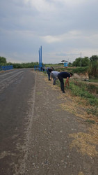 Beyləqanda ümumrayon iməcilik aksiyası təşkil olunub