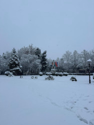 Beyləqan rayonu 2026-cı ilin ilk qarını qarşılayıb