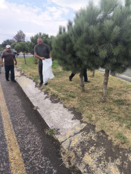 Beyləqanda ümumrayon iməcilik aksiyası təşkil olunub