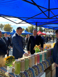 Beyləqan rayonunda toxum sərgi-satış yarmarkası keçirilib.