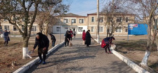 Beyləqanda genişmiqyaslı iməclik aksiyası keçirilib.