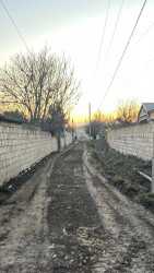 Beyləqan şəhəri şəhid Vasif Quliyev küçəsində yeni asfalt örtüyünün salınmasına başlanılıb