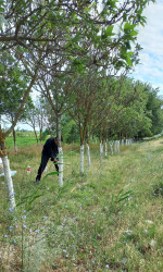 “Konstitusiya və Suverenlik İli” çərçivəsində iməcilik işləri davam etdirilir