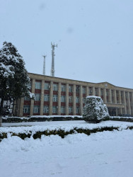 Beyləqan rayonu 2026-cı ilin ilk qarını qarşılayıb