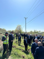 Beyləqanda “Şəhərsalma və Memarlıq İli” çərçivəsində ağacəkmə aksiyası keçirilib