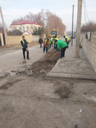 Beyləqan Rayon İcra Hakimiyyətinin təşkilatçılığı ilə rayon ərazisində ümumrayon iməcliyi davam etdirilir.