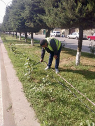 Beyləqanda abadlıq və təmizlik işləri mütəmadi olaraq davam etdirilir