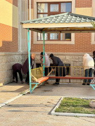 Beyləqanda genişmiqyaslı iməclik aksiyası keçirilib.