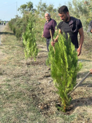 27 Sentyabr – Anım Gününə həsr olunmuş ağacəkmə aksiyası keçirilmişdir